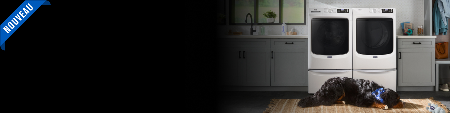 Une salle de lavage avec une laveuse et une sécheuse Maytag entourées d'armoires grises. Un chien est couché devant les appareils.