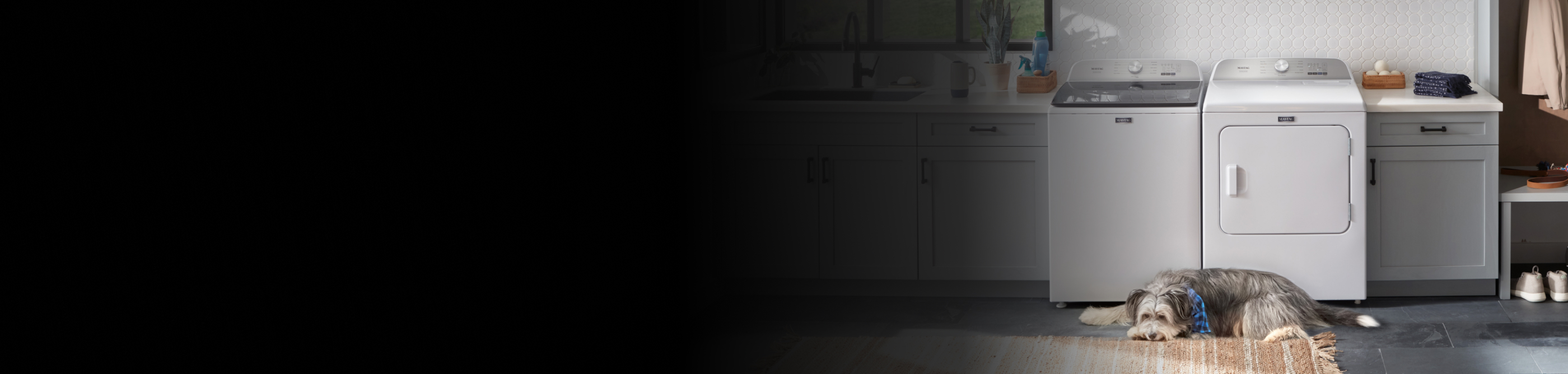 Dog in a laundry room in front of a white top load Maytag® washer and dryer pair