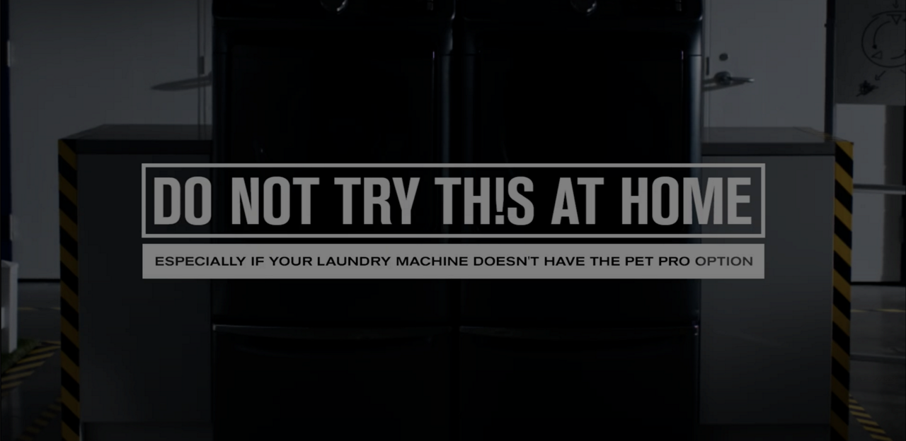 pets-video-thumbnail