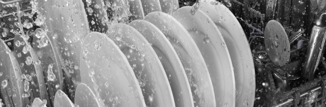 How does a dishwasher with hard food disposer differ vs filtration dishwashers. How does a dishwasher with hard food disposer differ vs filtration dishwashers.