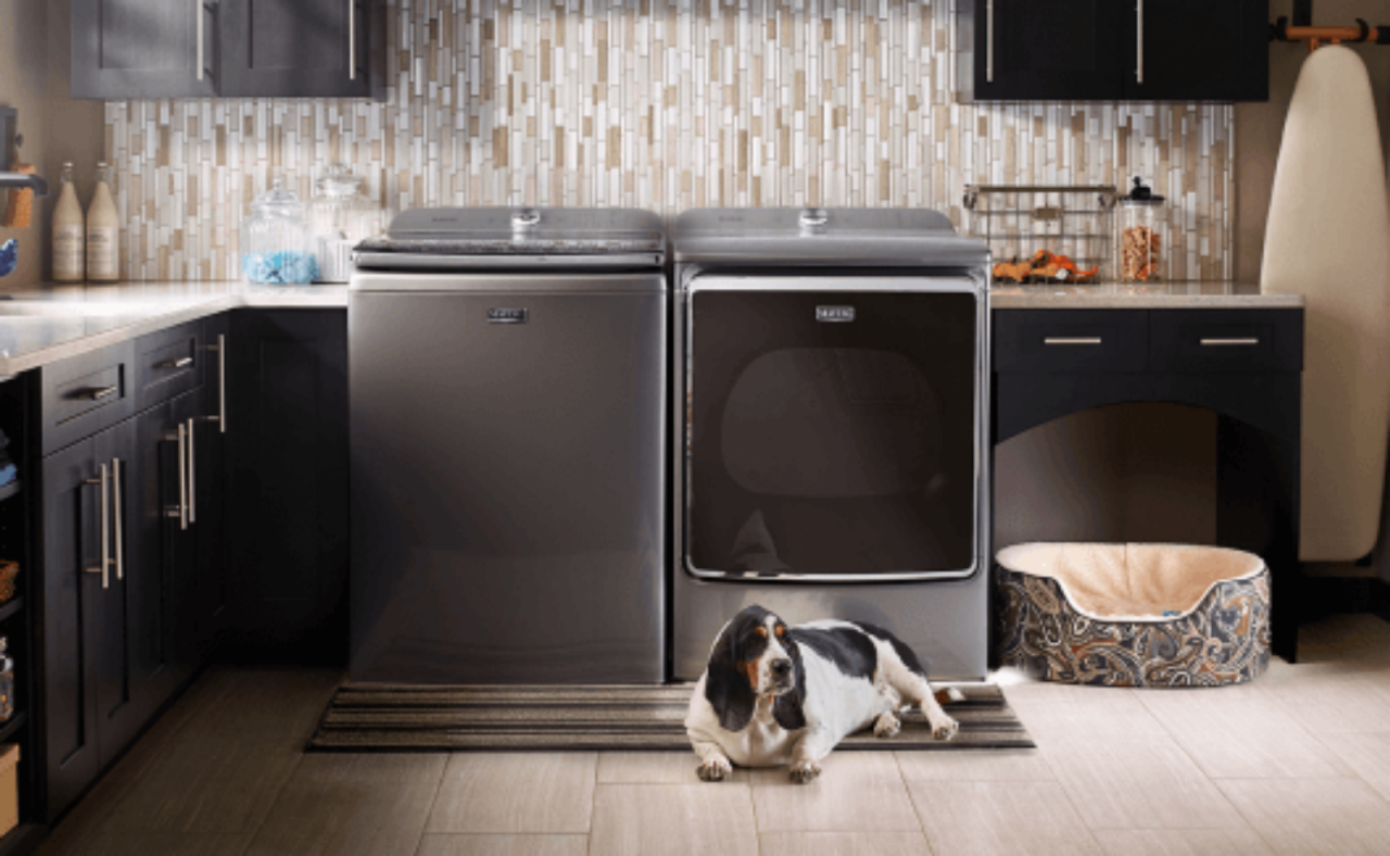 Une laveuse et sécheuse dans une salle de lavage avec un chien