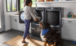 Meilleures laveuses et sécheuses pour les poils d’animaux : guide d’achat complet