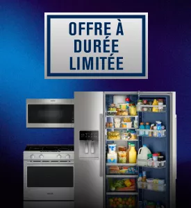  Les programmes de service prolongé