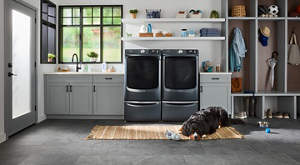 Dog sitting in front of midnight steel Maytag® top load laundry pair